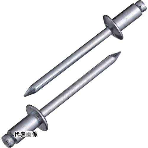 エビ ブラインドリベット(スティール/スティール製) 8-6(100本入) エコBOX [NS86EB] 販売単位：1 送料無料