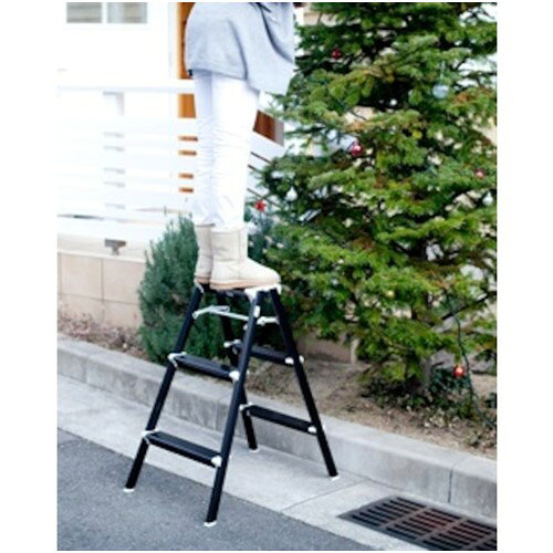 ハセガワ 踏み台 強力型 30cm ブラック [SK2.0-03BK] 販売単位：1 送料無料