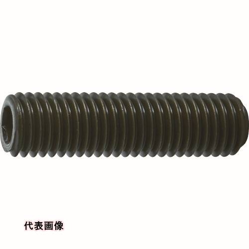 樂天商城 - TRUSCO トラスコ中山 六角穴付止めねじ 平先 黒染め M12×12 20本入 [B63-1212] B631212 販売単位：1