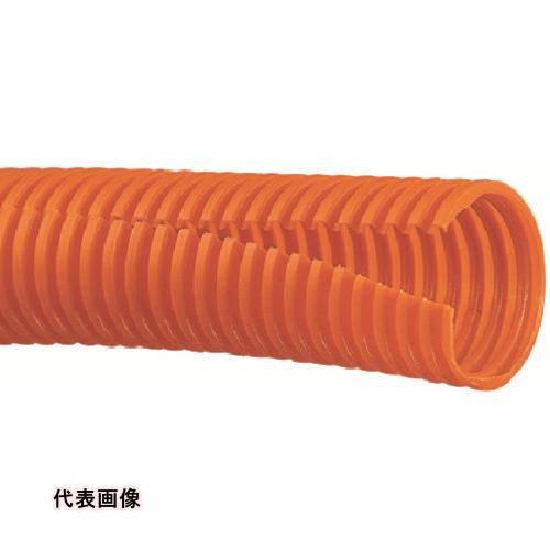 PANDUIT ���륲���ȥ��塼�� �ݥꥨ����� ����å��ե���� ���19.5 30.48m [CLT75F-C3] ����ñ�̡�1 ����̵��