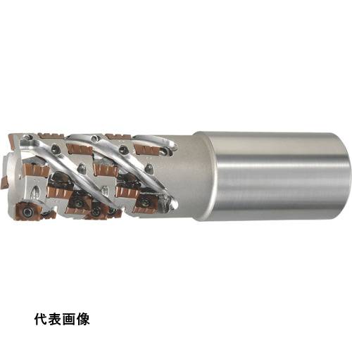 ߡ󥰥ɥߥ MOLDINO ե եEM AME1250S508-73-4NT [AME1250S508-73-4NT...