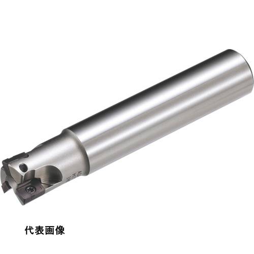 ミーリングエンドミル MOLDINO アルファ ポリッシュミルVタイプ ASPVS2025R-4 [ASPVS2025R-4] 販売単位：1 送料無料