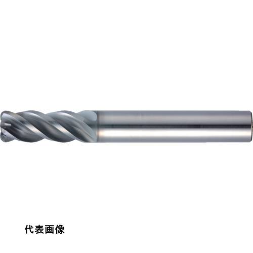 MOLDINO Ķť饸ɥߥ ݥåSUSޥ EPSM4160-R0.5-PN [EPSM4160-R0.5-PN] ñ̡1 ̵