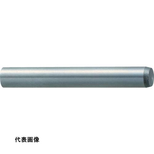 TRUSCO �ȥ饹���滳 ʿ�ԥԥ� A�� ����m6 S45C 10.0��40 10���� [B61-1040] ����ñ�̡�1