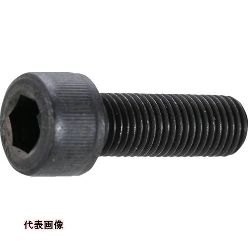 TRUSCO ȥ饹滳 ϻѷեܥ   ͥ M1645 P1.5 4 /åץܥ(CAP) [B150-1645P1.5] B1501645P1.5 ñ̡1