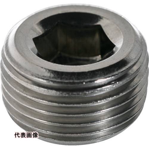 TRUSCO �ȥ饹���滳 �ơ��ѡ����ߥץ饰(SP4) ������PT3/4 ���ƥ�쥹 2���� [B84-0314] B840314 ����ñ�̡�1