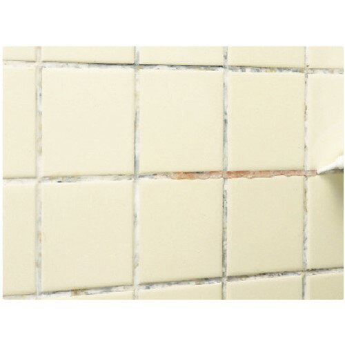 カビ取りクリーナー LOCTITE カビ取りジェル [DKJ-150] 販売単位：1