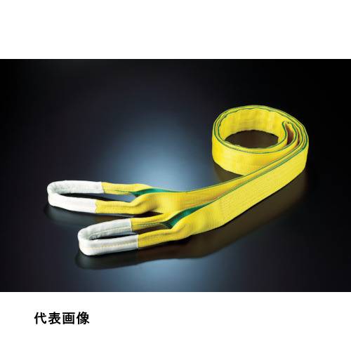 田村 ベルトスリング Zタイプ 4E 25×1.5 [ZE0250150] 販売単位：1