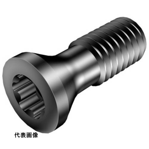 SANDVIK チップスクリュー(810) [5513 020-14] 販売単位：1