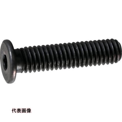 Rakuten - TRUSCO トラスコ中山 超低頭キャップボルト スチール黒染め M6×8 9本入 /六角穴付ボルト(CAP) [Y153-0608] Y1530608 販売単位：1