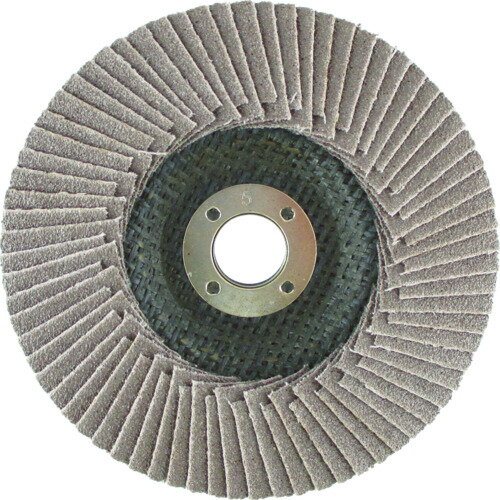    HiKOKI ơѡ¿ڹ 100X15mm A60 [0032-1799] 00321799 ñ̡1