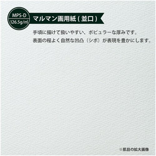 maruman B3 スケッチブック 図案印刷シリーズ [S110] S110 販売単位：1