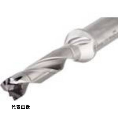 ɥ󥰥ɥ  ⥦ إåɸ򴹼ɥܥǥ()3D [DCN 120-036-16R-3D] ñ̡1 ̵