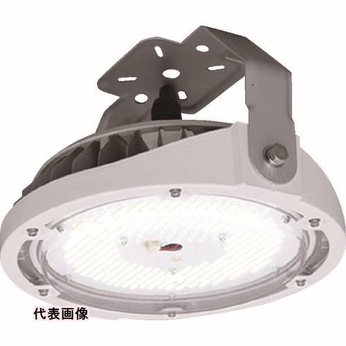 ŷ LED IRIS 273553 ŷLED ľե 10000lm  (5000) 졼 [LDRCL58N-110BS] LDRCL58N110BS ñ̡1 ̵