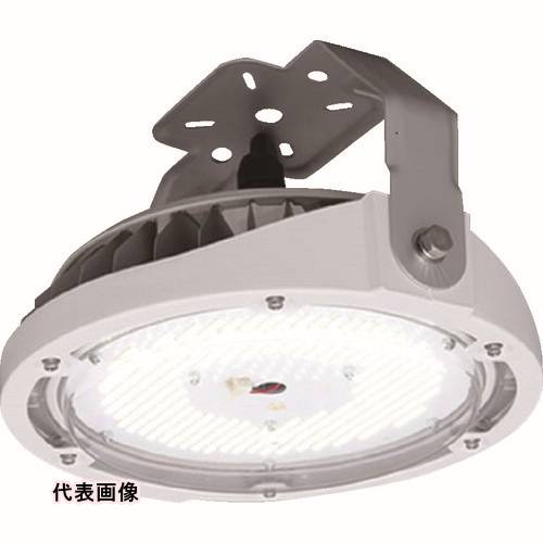 ŷ LED IRIS ŷLED RZ180꡼ ľե 10000lm [LDRCL58N-110BS] LDRCL58N110BS ñ̡1 ̵