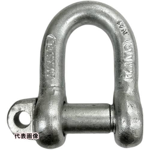 TAIYO TAIYOシャックル ドブ SD-10G(1006360) [SD-10G] 販売単位：1