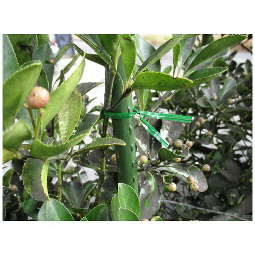 TRUSCO �ȥ饹���滳 ����ѥӥˡ��륿�� ��4mm��Ĺ��150mm �� 100���� [GVT150-100] GVT150100 ����ñ�̡�1