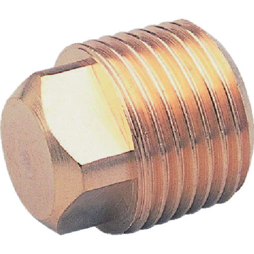 ASOH �ͳѥץ饰 PT1/4(RoHS) [NP-1002R] NP1002R ����ñ�̡�1