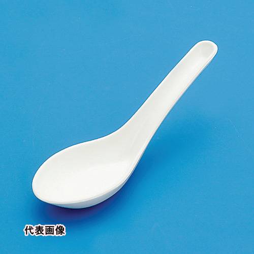 フロンケミカル　フッ素樹脂 （PTFE）六角ナット　M8　（10個入） （品番:NR1663-008）（注番7354908）・（送料別途見積り,法人・事業所限定,取寄）