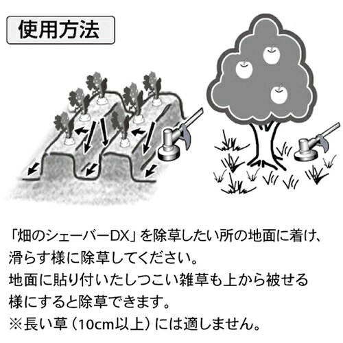 ���۶�° Ȫ�Υ������С�DX [0863] ����ñ�̡�1 ����̵��