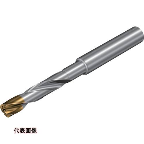 SANDVIK ɥ860GM Ķťåɥɥ(720) X1BM [860.1-0660-054A1-GM X1BM] 860...
