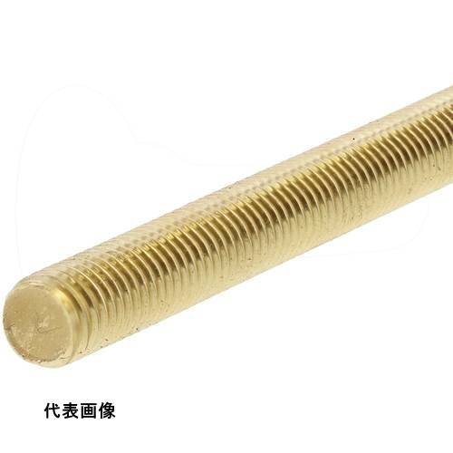 SUNCO ECO-BS M3X300 (1) [C1-01-00C0-0030-0000-00] C10100C00030000000 ñ̡1