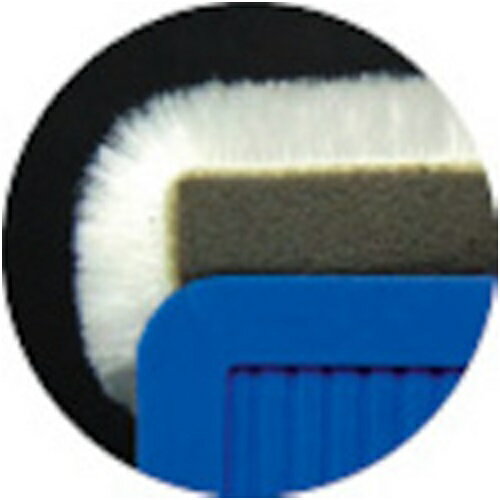 PILOT �ܡ��ɥ��졼���� ��إ������� L������ [WBEH-L] WBEHL ����ñ�̡�1