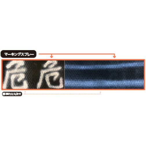 ����ǡ��ڥ���� �ޡ����󥰥��ץ졼 �� 300ml [2002B0] 2002B0 ����ñ�̡�1