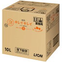 ライオン キレイキレイ薬用泡ハンドソープ フルーツミックスの香り10L...(4)