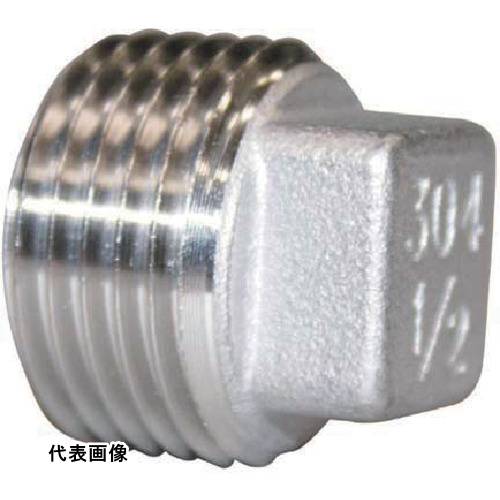 TBC ステンレス プラグ 1 [25 SUS-P] 販売単位：1