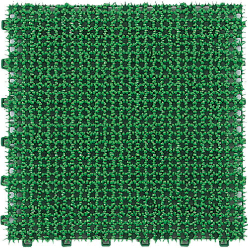 �ߥť��� ���祤��ȿ͹����� �ۡ��ॿ���� ���� [440-010] ����ñ�̡�1