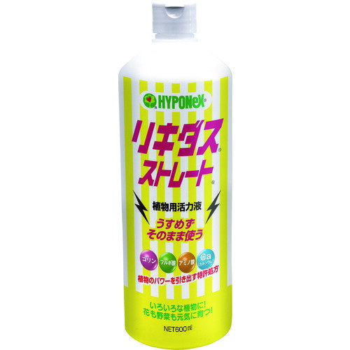 ϥݥͥå ꥭȥ졼 [H016259] H016259 ñ̡1