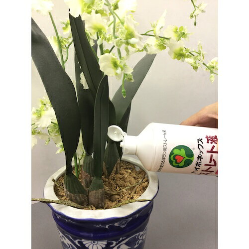 ハイポネックス 植物活性剤 ストレート液洋ラン用 [H016803] 販売単位：1
