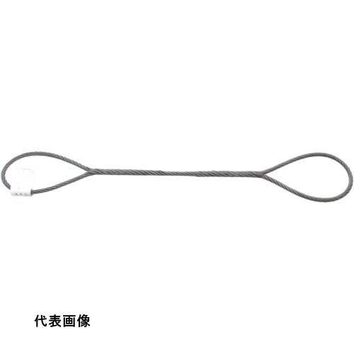 TAIYO JIS玉掛ワイヤ O/O 12×1M(3291111) [JTWR12X1] 販売単位：1