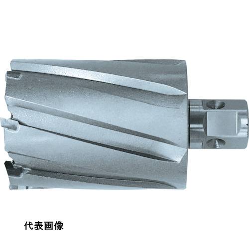 日東 ジェットブローチ ワンタッチタイプ 30X75L 07699 [NO.07699] 販売単位：1 送料無料