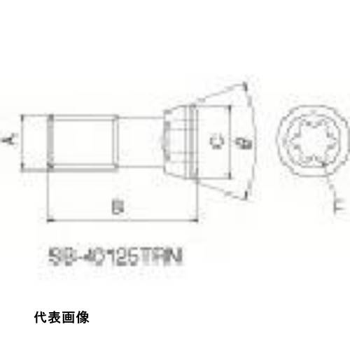   ͤ [SB-40125TRN] ñ̡1