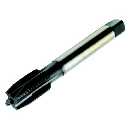 Rakuten - SANDVIK コロタップ200 ポイントタップ(780) B145 [T200-MM100JA-M4 B145] T200MM100JAM4 販売単位：1