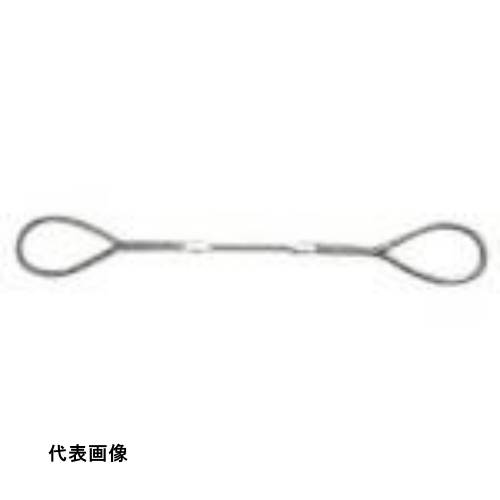 ニッコウ Wスリング 全長2m スリング径6mm [WR-6S2] 販売単位：1