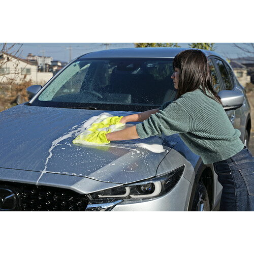 SOFT99 ALAUNEN ヤワラカイザー 洗浄用クロス [02902] 02902 販売単位：1