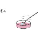 SANSEI コンラージ棒 T型 黒 [05-001B] 05001B 販売単位：1 送料無料