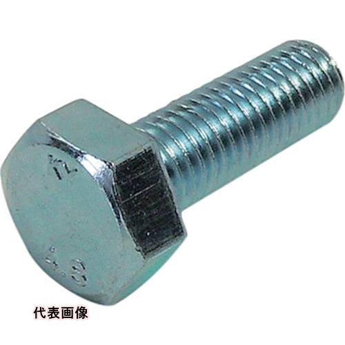 DAIDОHANT HP ユニクロ六角ボルト 10X60 2本入 [10187021] 販売単位：1