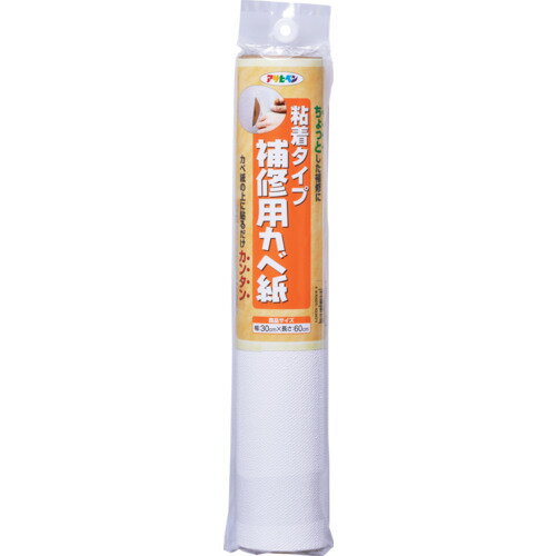 Other - アサヒペン 補修用カベ紙 30CM×60CM RHK-13 [103871] 103871 販売単位：1