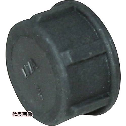 IWA (PP) å [49CAP20P] 49CAP20P ñ̡1