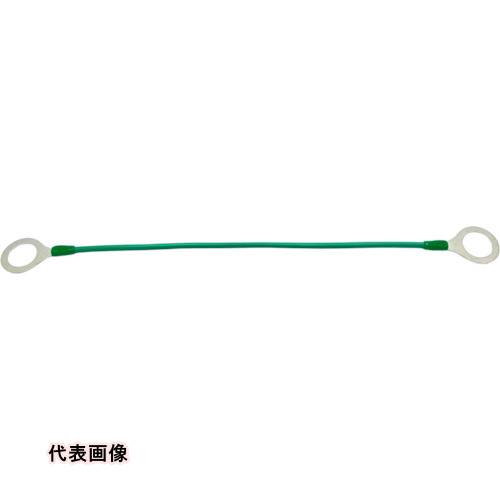 HI��LEAD ��ʤ�ե������ܥ�� R5.5 M16��200L ü���ݸ��å���(��) [EBC-R5.5-16-200-GR] EBCR5.516200GR 10���å� ����̵��