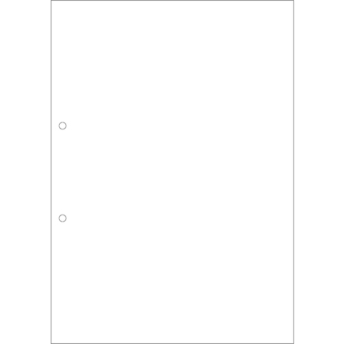 HISAGO FSC(R)認証マルチプリンタ帳票複写タイプA4ノーカーボン白紙2穴大入 [FSCF2001Z] FSCF2001Z 販売単位：1 送料無料