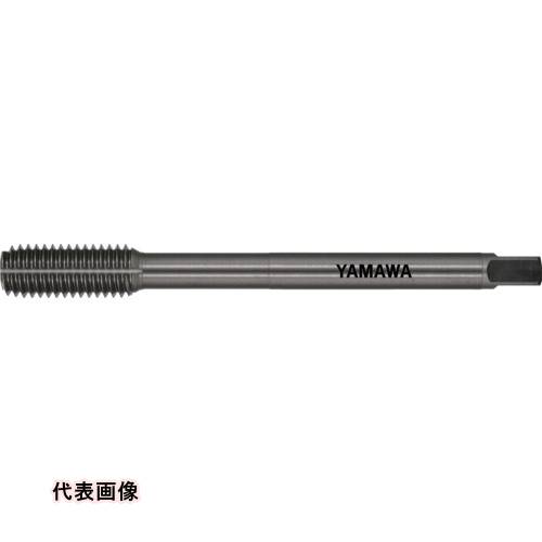 ޥ Ŵѥ륿å LS-N-RS L100 G7 M6X1 B [LS-N-RS-F-G7-100-M6X1-B] LSNRSFG7100M6X1B ñ̡1