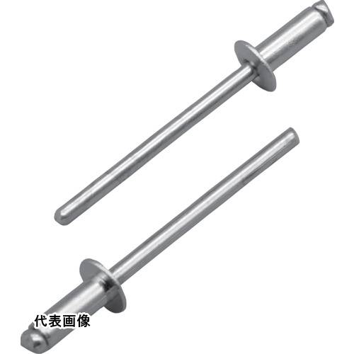 エビ ブラインドリベット(スティール/スティール製) 6-5(500本入) 箱入 [NS65A] NS65A 販売単位：1 送料無料