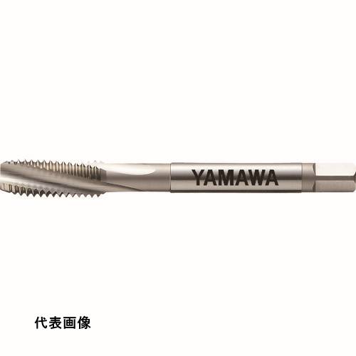 ޥ ѥѥ륿å PM-SP P3 M16X1.5 [PM-SP-P3-M16X1.5] PMSPP3M16X1.5 ñ̡1 ̵