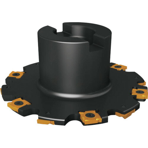 セコ フライス サイドカッタ335.19 カッター [R335.19-2550.0-05.2] R335.192550.005.2 販売単位：1 送料無料