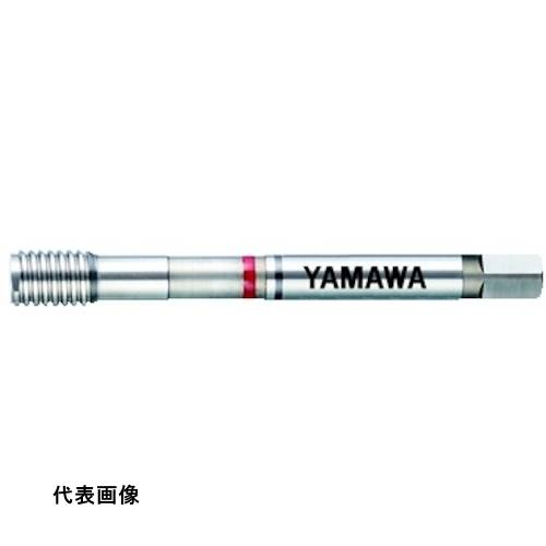 ヤマワ ねじ簡易検査ツール SIT M6X1 6H NB [SIT-M6X1-6H-NB] SITM ...